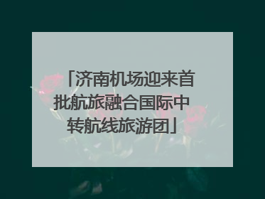 济南机场迎来首批航旅融合国际中转航线旅游团